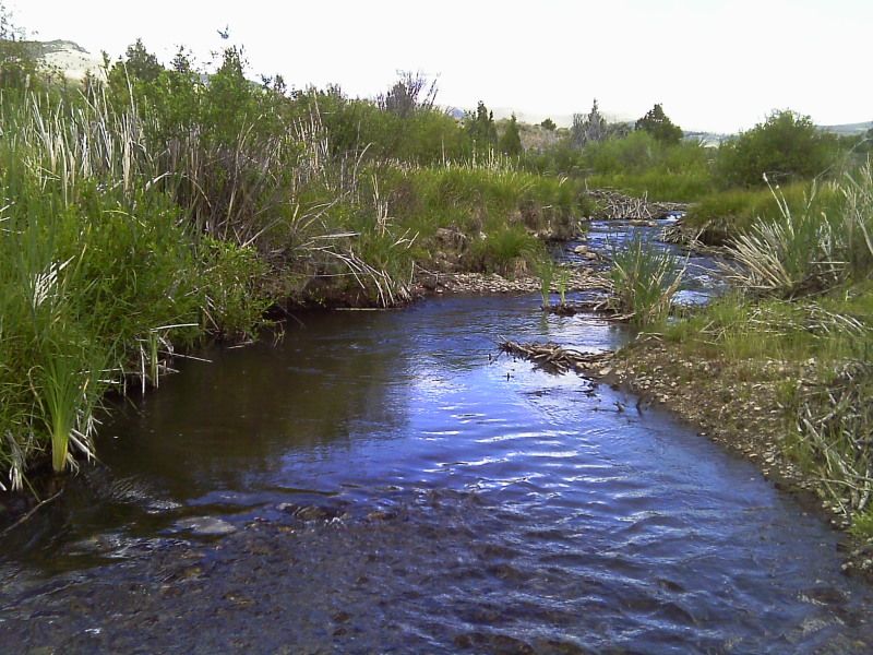 IMAG0242.jpg