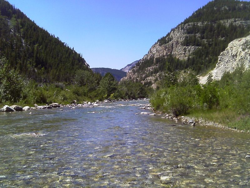 IMAG0328.jpg