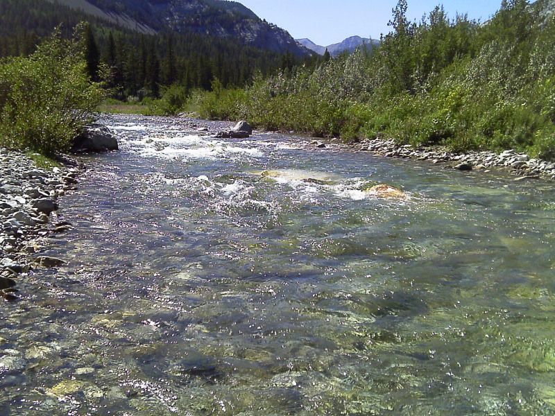 IMAG0337.jpg