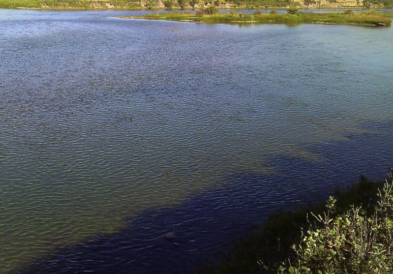 IMAG0380.jpg