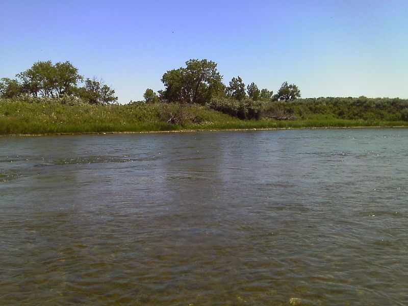 IMAG0395.jpg