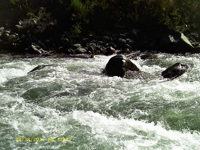 IMAG0076-1.jpg