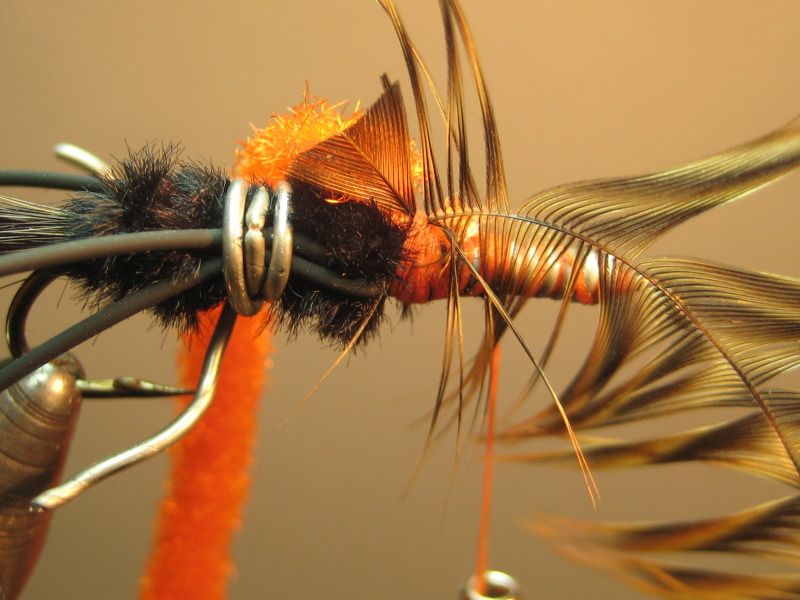 Pepperoni Yuk Bug SBS Step by Step Patterns & Tutorials Fly Tying