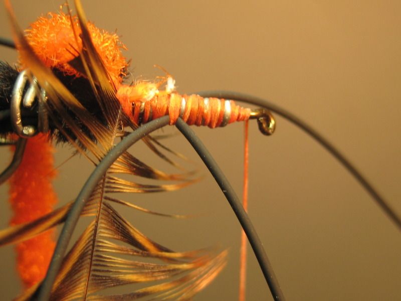 Pepperoni Yuk Bug SBS Step by Step Patterns & Tutorials Fly Tying