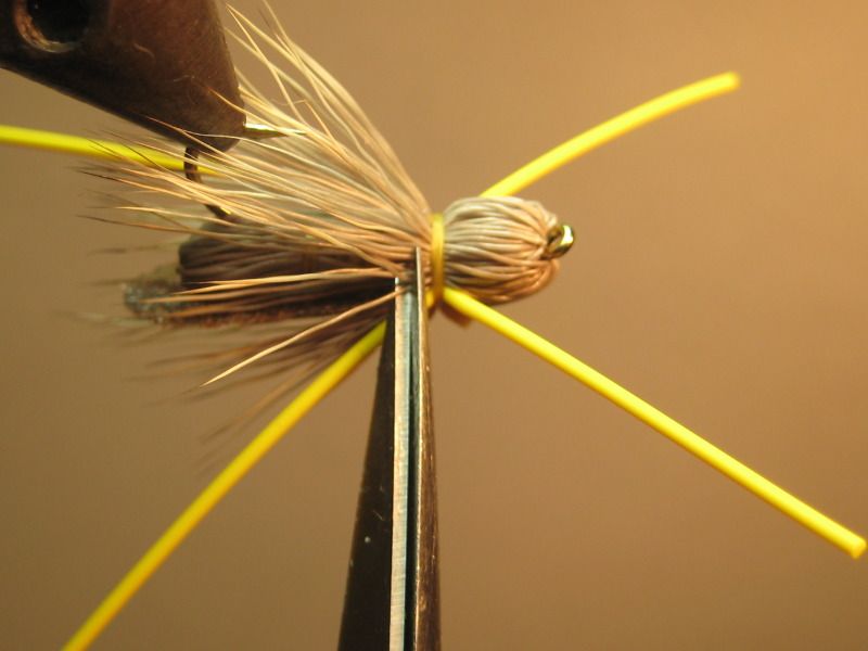 Posted Image