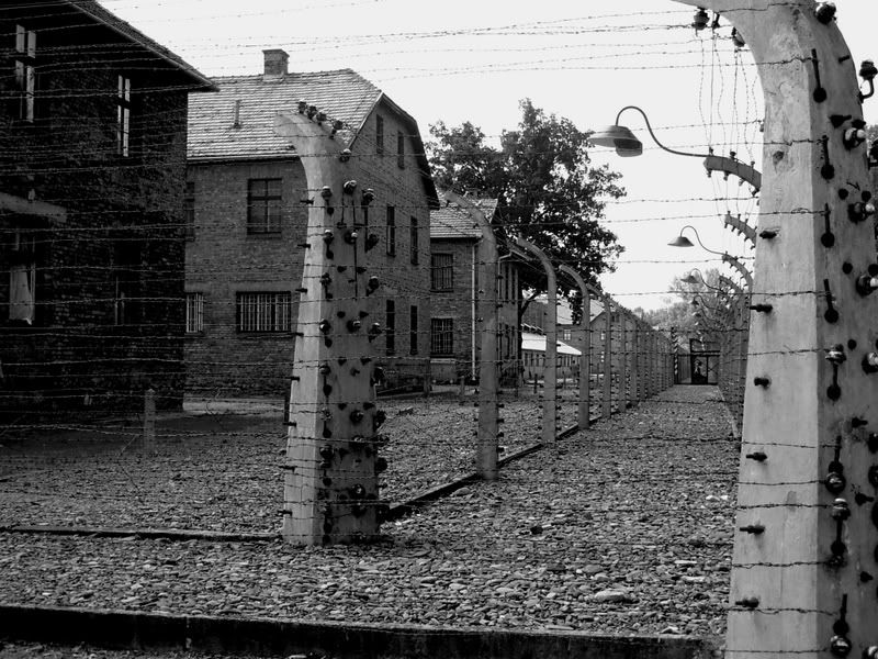 AuschwitzB-N.jpg