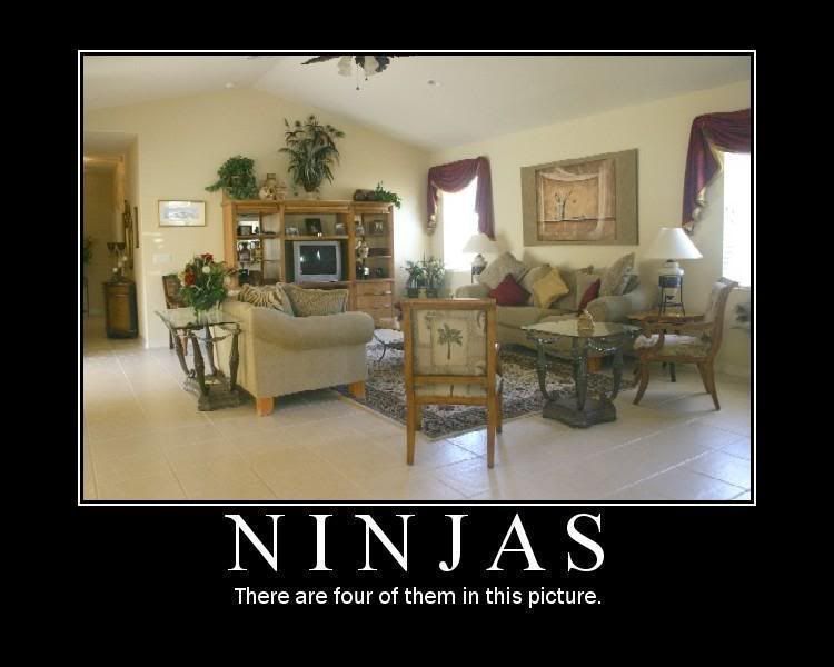 ninjas01motiv.jpg