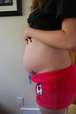 27 week belly