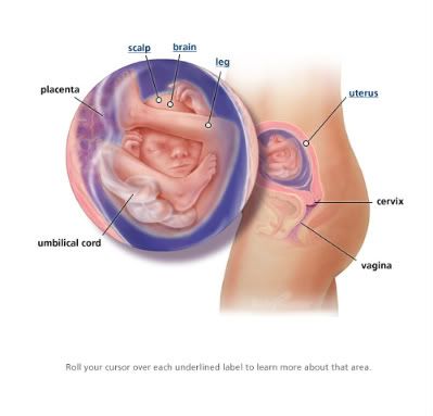 week 19