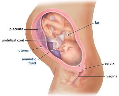 35 weeks