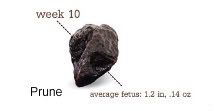 10 weeks