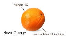 week 15