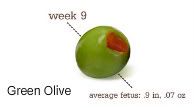 9 weeks