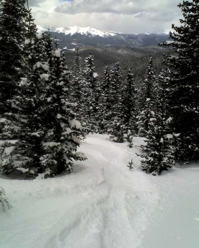 03-30-07_1253.jpg
