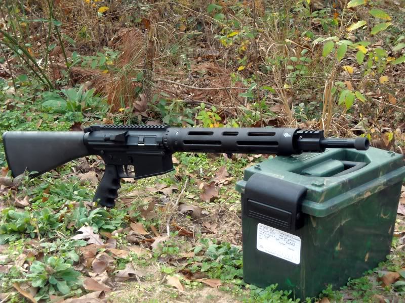 LR308.jpg