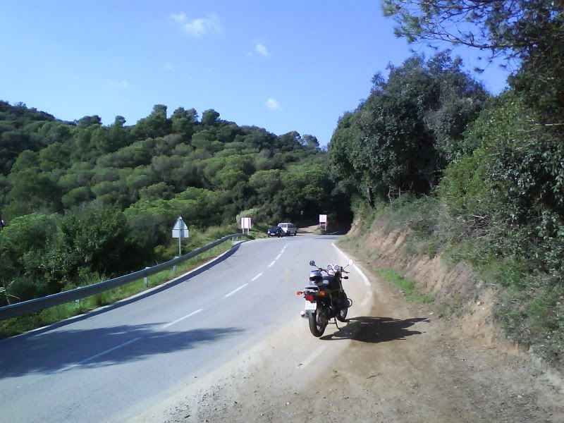 DSC00088.jpg