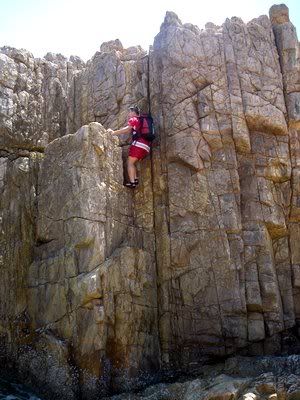 WFa