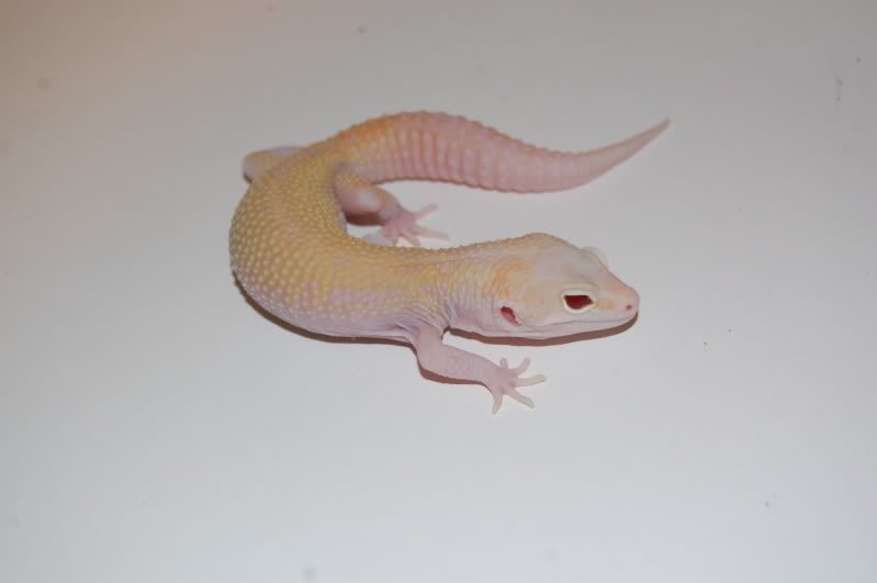 DSC_0034.jpg
