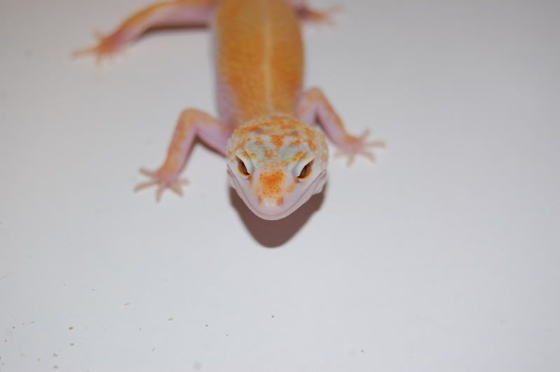 DSC_0759.jpg