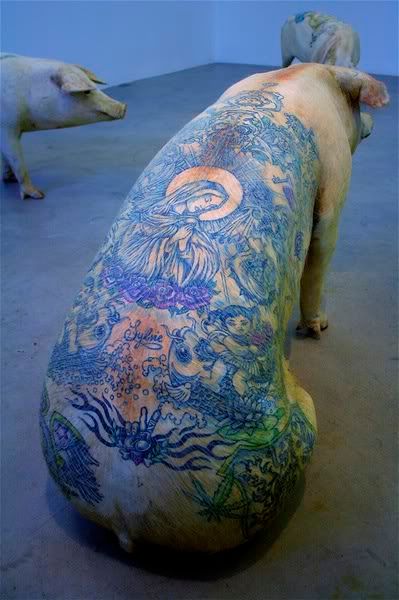 Wim Delvoye, a 43-year-old Belgian conceptual artist, tattooed the pigs when 