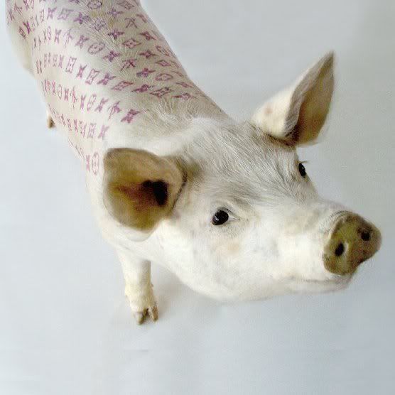 Wim Delvoye, a 43-year-old Belgian conceptual artist, tattooed the pigs 