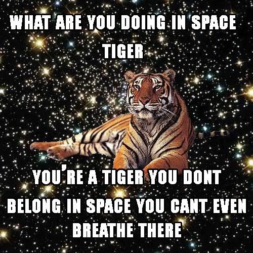 Space Tiger Pictures, Images and Photos