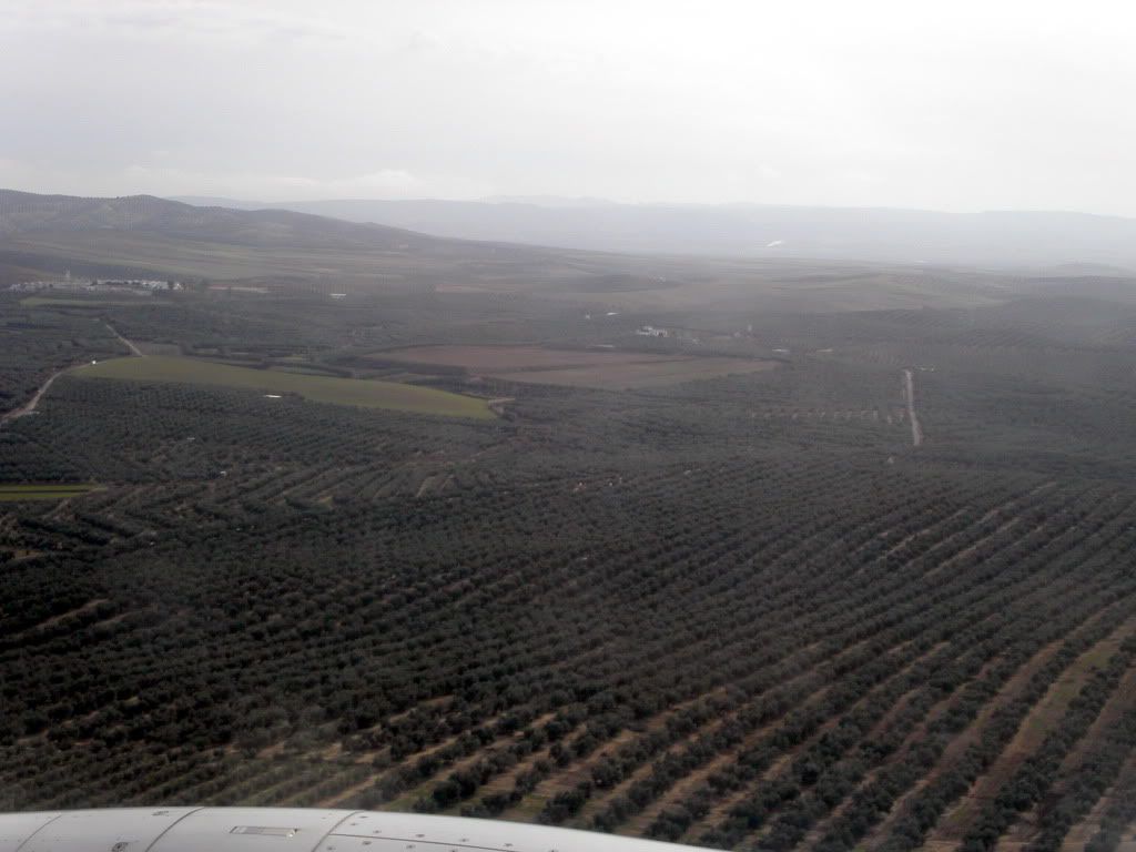 PICT0020.jpg