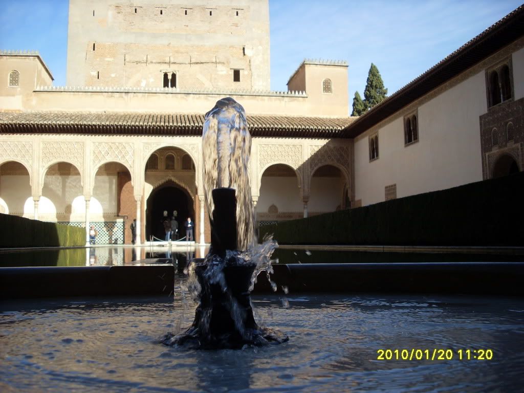 SL383658.jpg