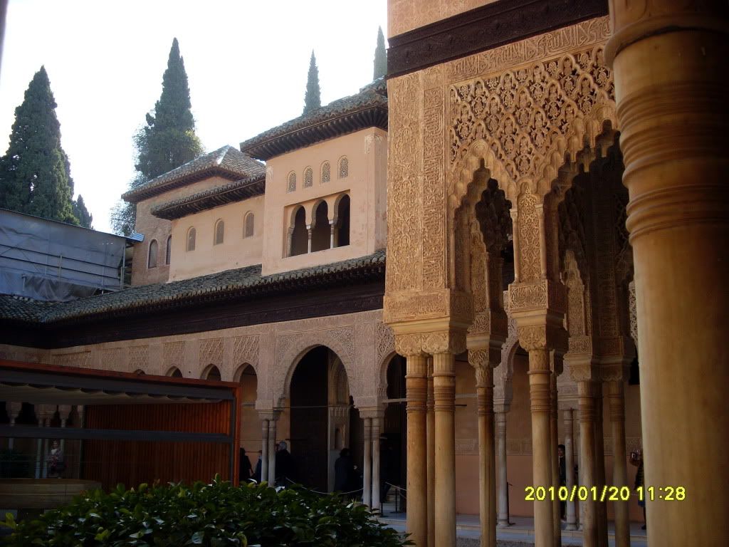 SL383666.jpg