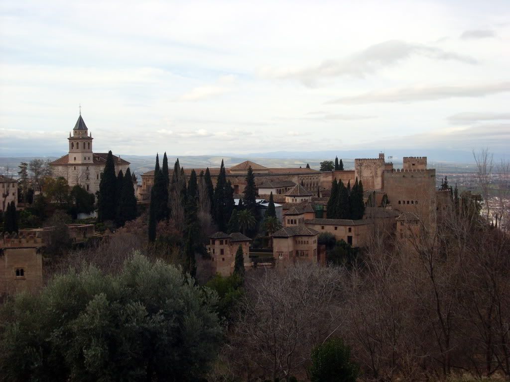 SL383713.jpg
