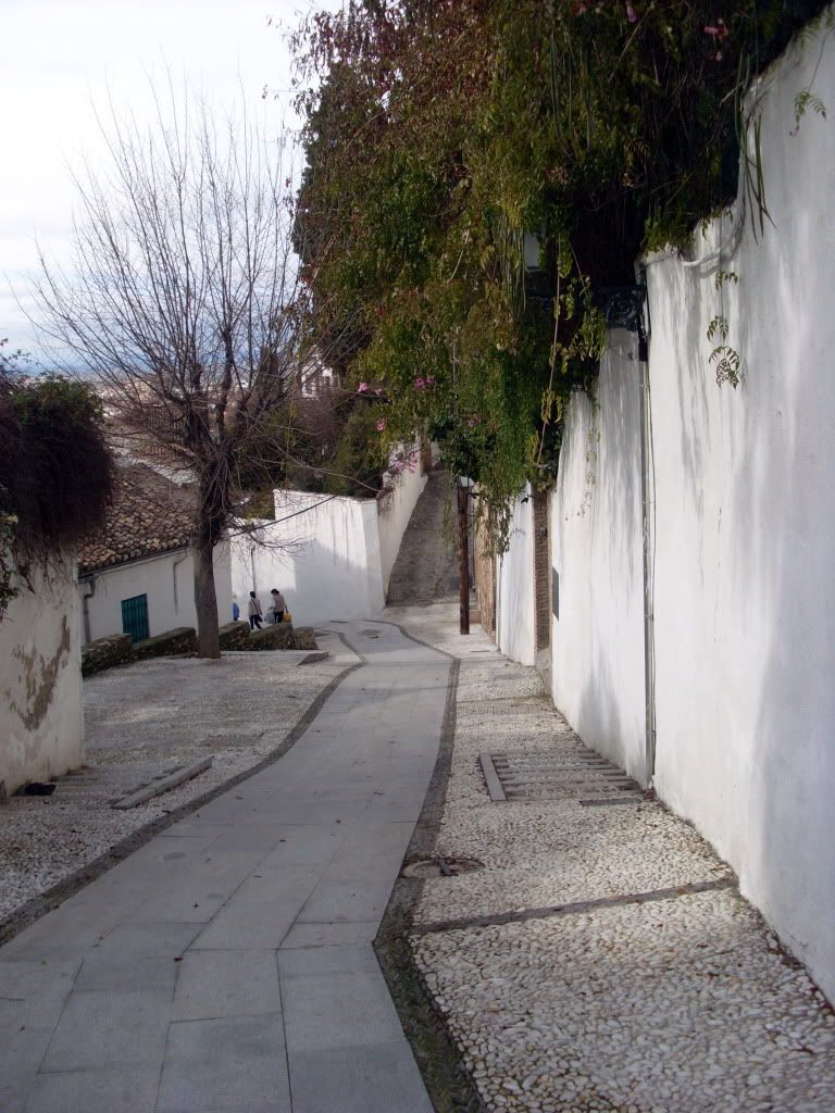 SL383718.jpg