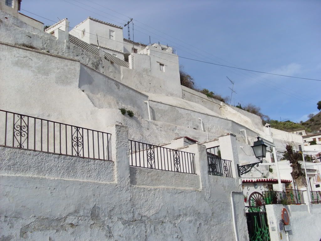 SL383723.jpg