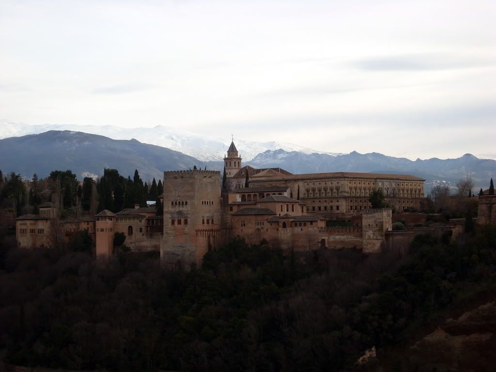 SL383747.jpg
