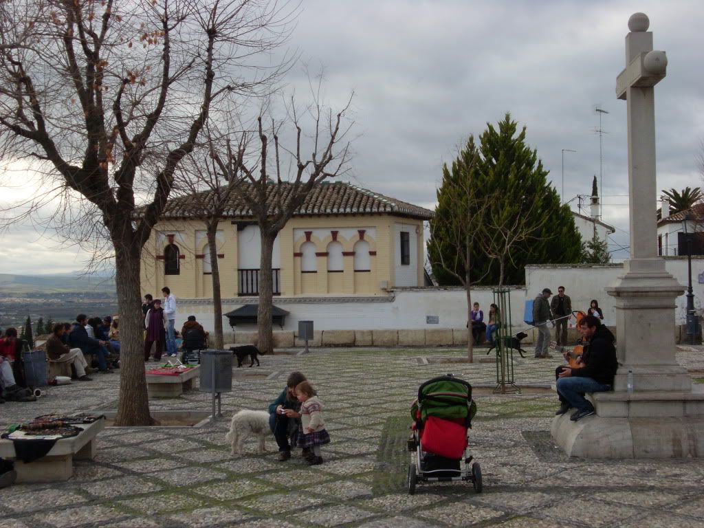 SL383749.jpg