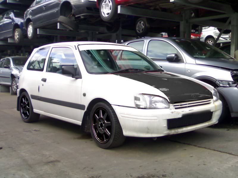 starlet-chop.jpg