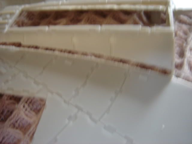DSC00258.jpg