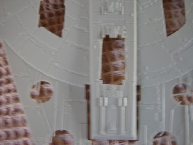 DSC00262.jpg