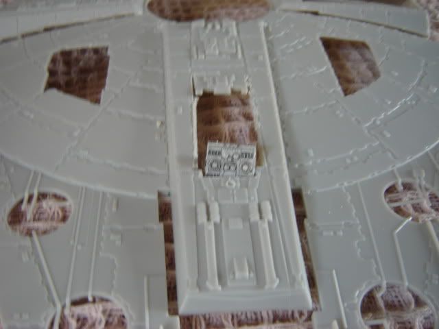 DSC00263.jpg