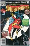 spiderwoman1.jpg