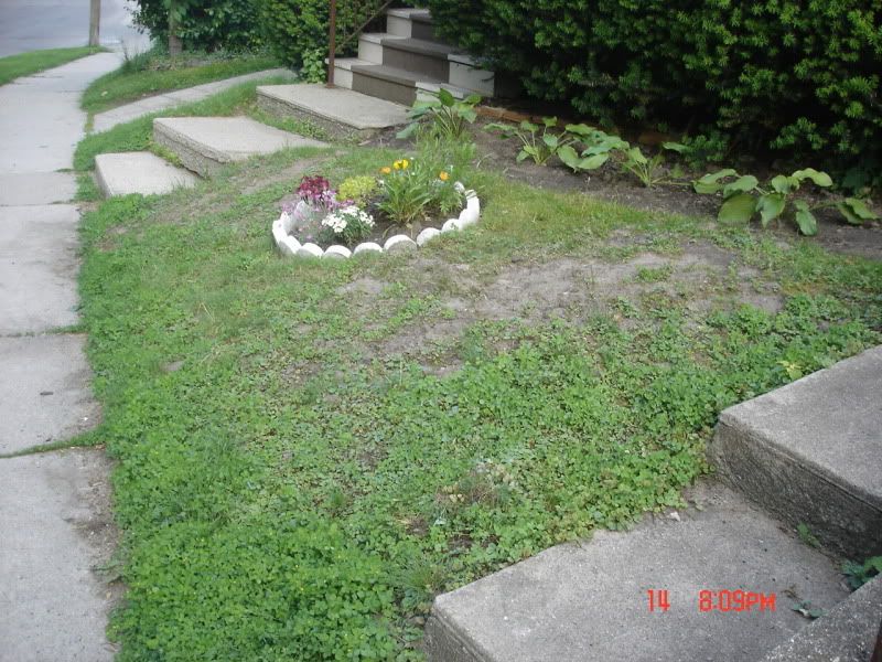 Need help with designing garden in front of house (many pics)