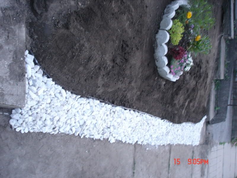 Need help with designing garden in front of house (many pics)