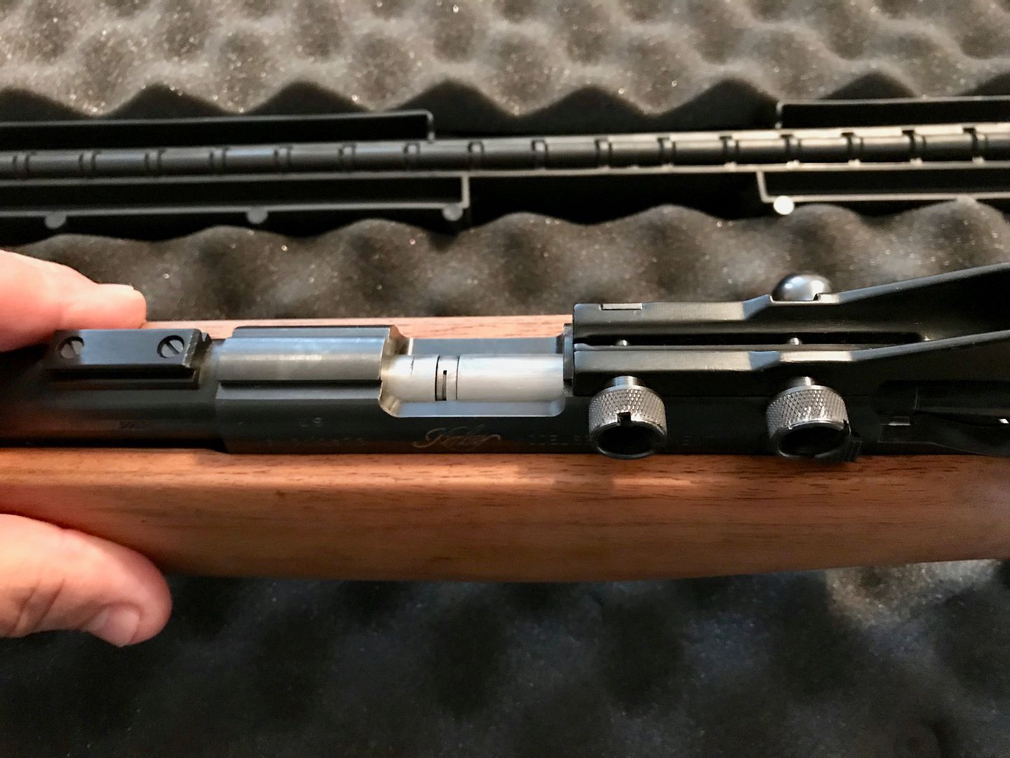 RUGER AMERICAN .22LR w/Adjustable Peep Sights | Bushcraft USA Forums