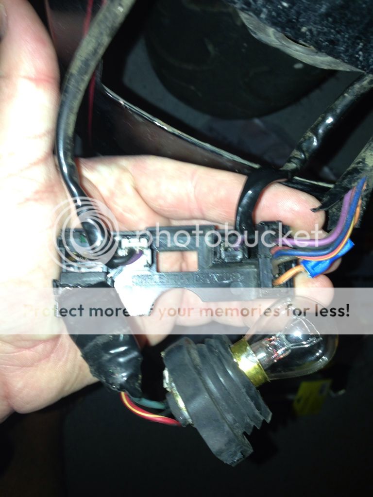 the sportster treatment wiring kit