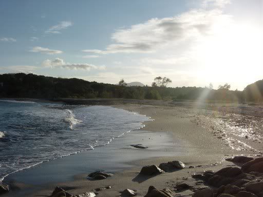 Cerdea_2008061.jpg