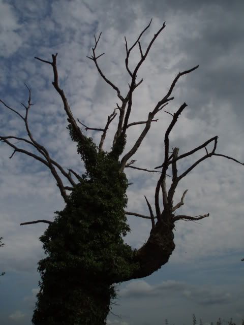 https://i80.photobucket.com/albums/j186/Vytis88/Taize/P9018039.jpg