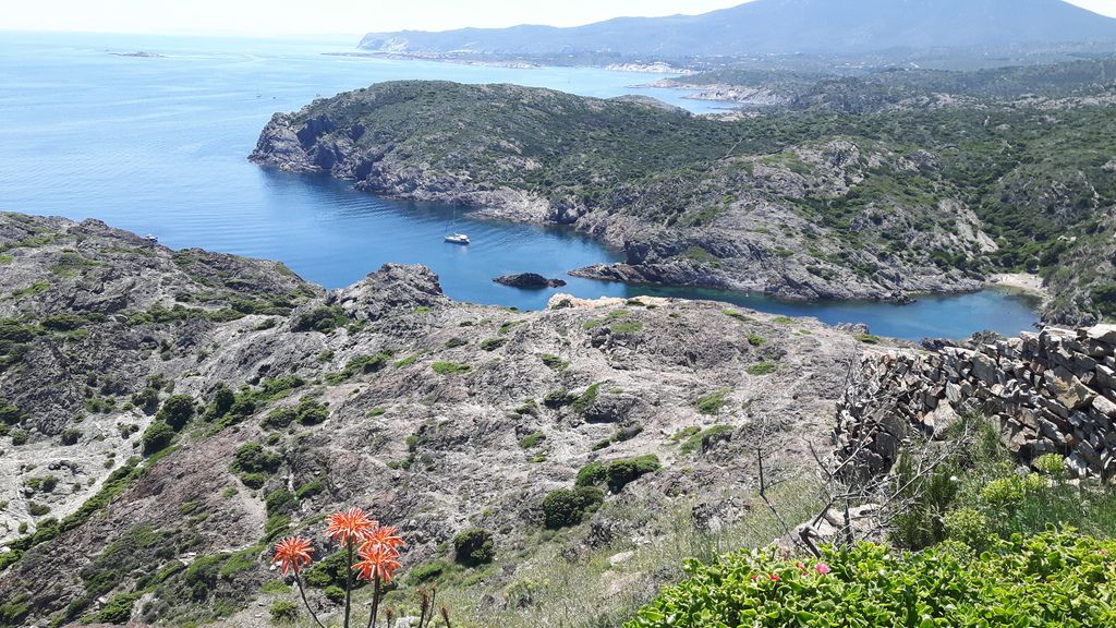 20180519_140605_zpspstfsqnp.jpg
