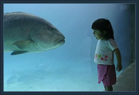 underwater_01.jpg